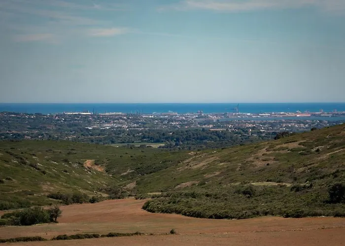 Du Mas D' Antonegre * Montbazin