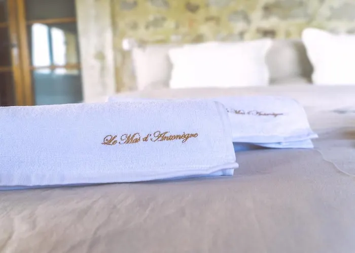 Villa Du Mas D' Antonegre *